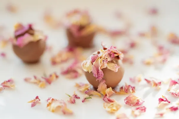 Casino Bella Vegas Android/iOS rakendus